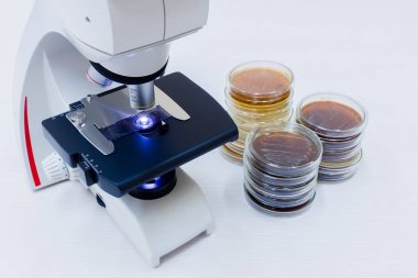 Mikroskop ve petri yemekler yakındır. Masaüstünde ve yanında mikroskop yalan petri yemekler.