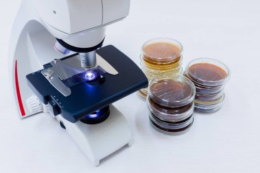 Mikroskop ve petri yemekler yakındır. Masaüstünde ve yanında mikroskop yalan petri yemekler.