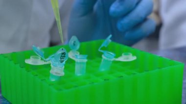  Laboratuvar araçlarının arka planında, bilim adamları çalışıyor. Laboratuar tezgahında küçük test tüpleri açık yeşil bir tripod var..