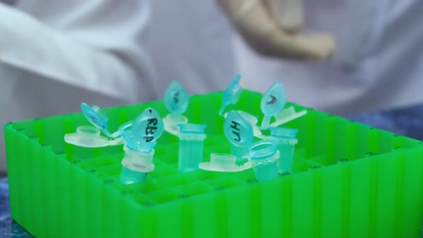 Laboratorní Lavičce Zelený Stativ Otevřenými Malými Zkumavkami Pozadí Laboratorních Nástrojů — Stock video