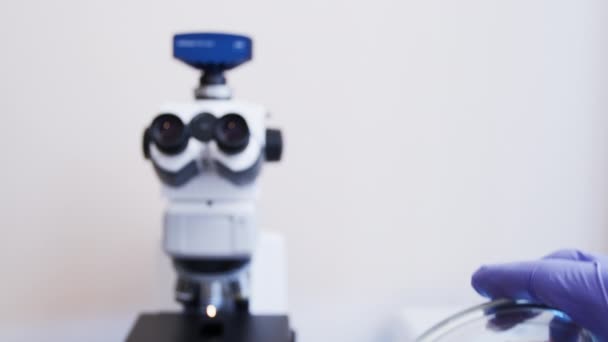 Uma Placa Petri Com Bactérias Aparece Topo Moldura Frente Microscópio — Vídeo de Stock
