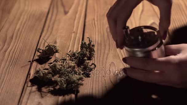 Slijpen kegels van marihuana met een grinder close-up. Wiet toppen en molen in slowmotion details — Stockvideo