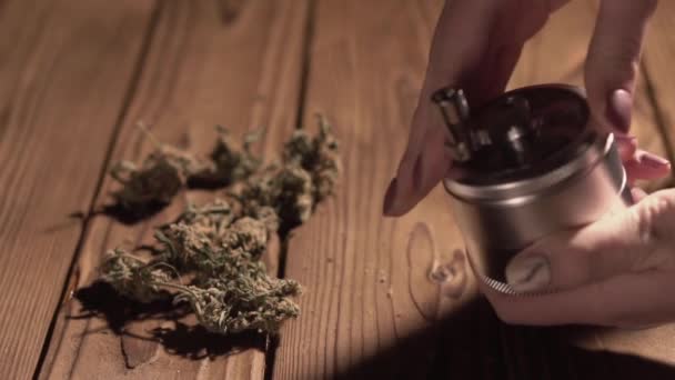 Moliendo conos de marihuana con un primer plano molinillo. Brotes de malezas y amoladora en detalles cámara lenta — Vídeo de stock