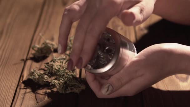 Slijpen kegels van marihuana met een grinder close-up. Wiet toppen en molen in slowmotion details — Stockvideo