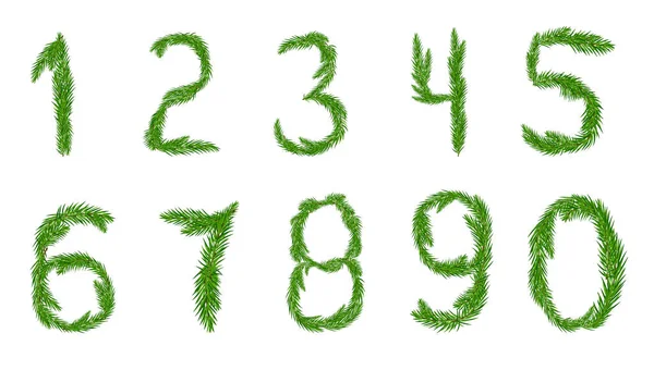 Zestaw liczb od zera do dziewięciu gałęzi sosny. Ilustracja wektora dla Twojego projektu. — Wektor stockowy