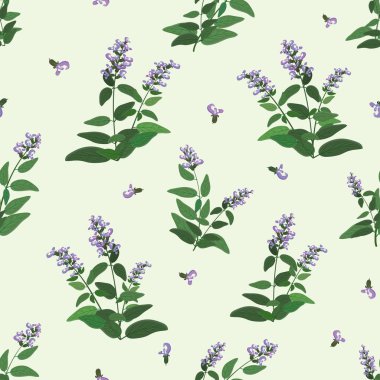 Yeşil ve çiçek açan adaçayı dallarıyla kusursuz bir desen.