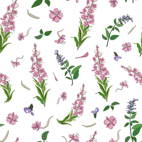 Seamless pattern with pink blooming sally flowers and basil flowers. — Stock Illustration Seamless pattern with pink blooming sally flowers and basil flowers. Stock Vector