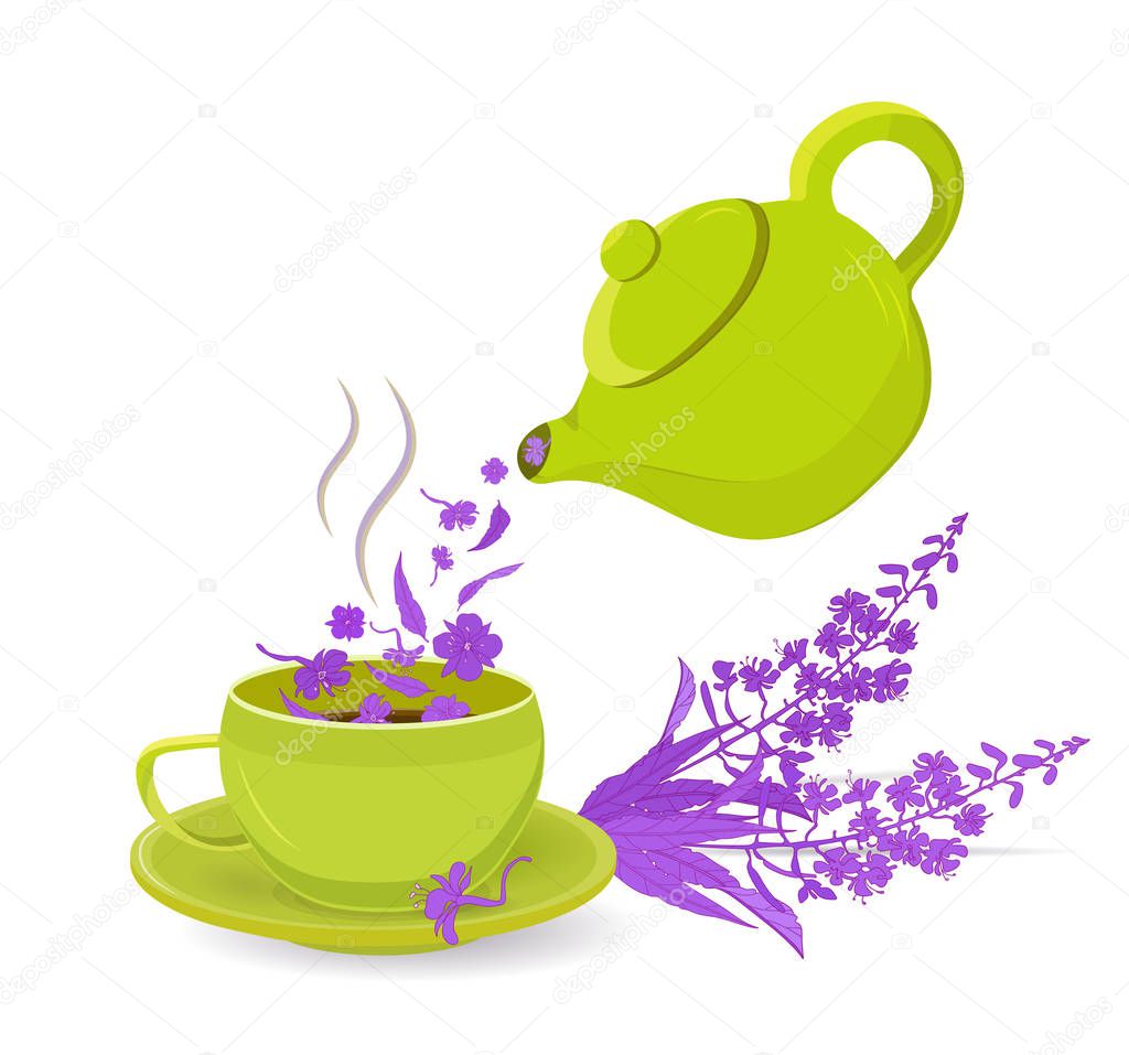 Vector illustration with green teapot and a mug of herbal tea with fireweed flowers.