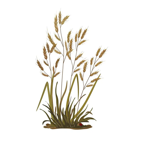 Ілюстрація Купи Трави Вух Злакової Трави Білому Тлі Векторні — стоковий вектор