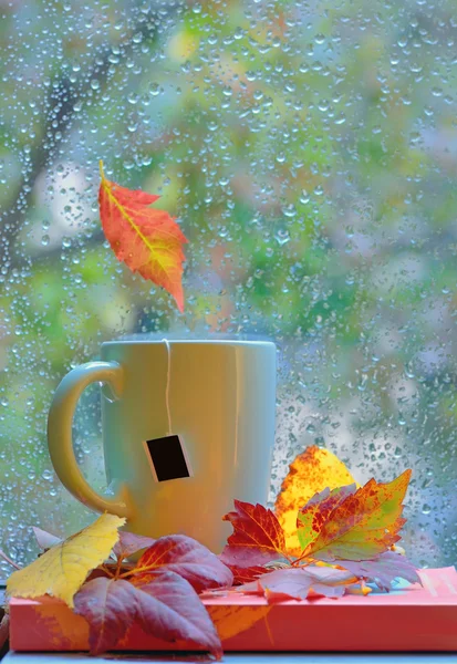 Tea cup at the window with  leaves and drops — Stock Photo, Image