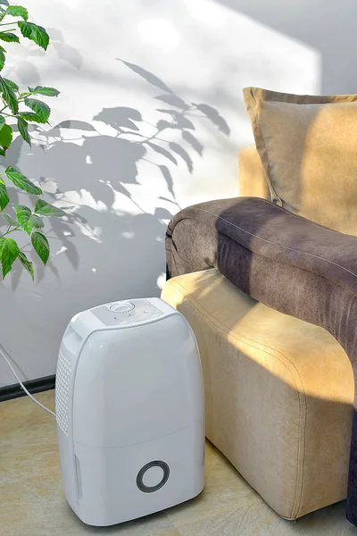 Portable dehumidifier colect water from air — Stok Foto