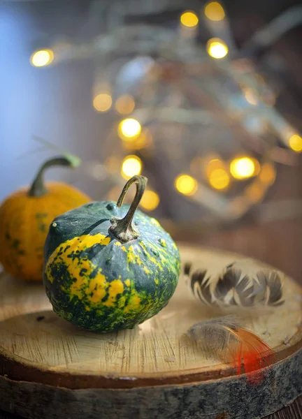 Herbstdekoration mit kleinen Kürbissen — Stockfoto