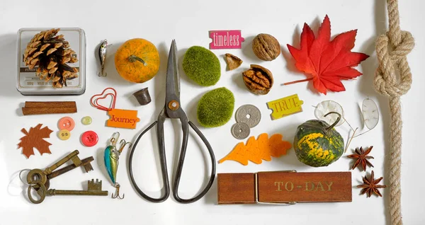 Coleção Outono Objetos Mockup — Fotografia de Stock