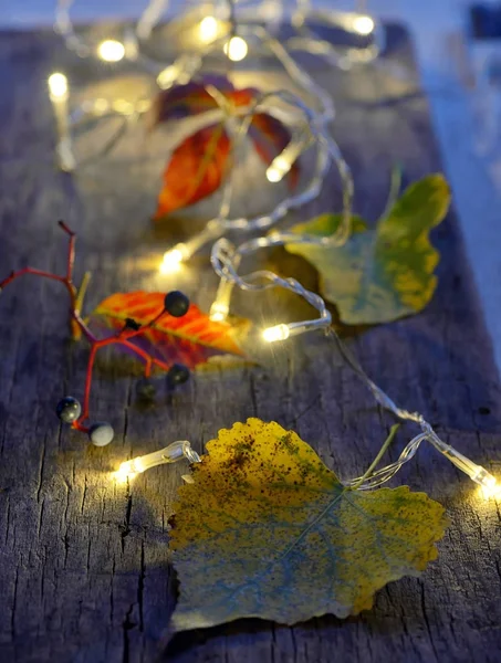 Folhas de outono em placa de madeira — Fotografia de Stock