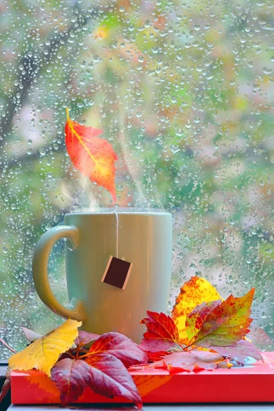 Autumn rainy window with hot tea — Stock Photo, Image