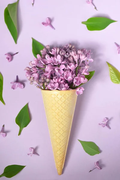 Ice cream cone with purple lilac — Stock Photo, Image