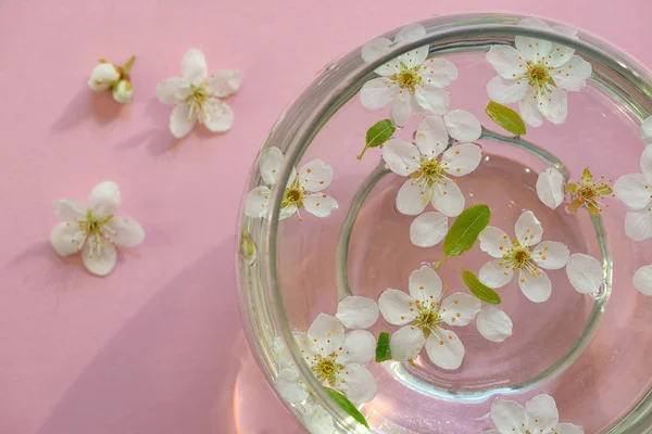 Flores em tigela de água — Fotografia de Stock