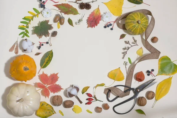 秋のカラフルなフレームが分離 — ストック写真