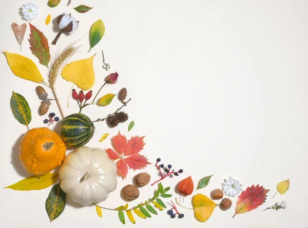 Folhas coloridas de outono no quadro — Fotografia de Stock