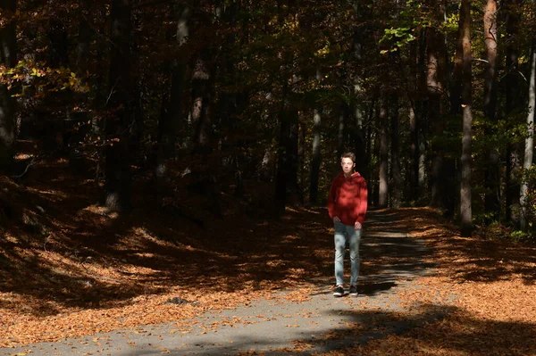 Jeune garçon marchant dans la forêt — Photo