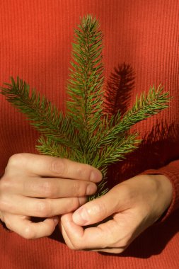 Kadının elinde çam ağacı dalı var. 