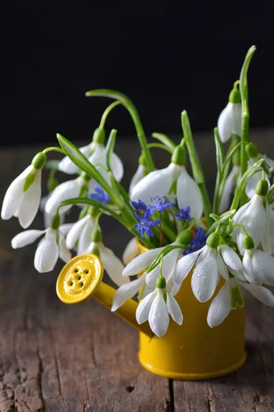 Bouquet de gouttes de neige dans un petit seau sur table en bois — Photo