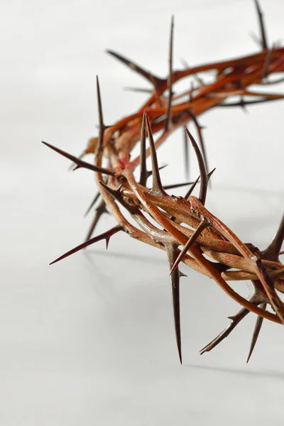 Crown of thorns on white — Stock Photo, Image