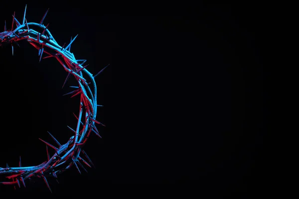 Colored Crown Thorns Black Background — Stock Photo, Image