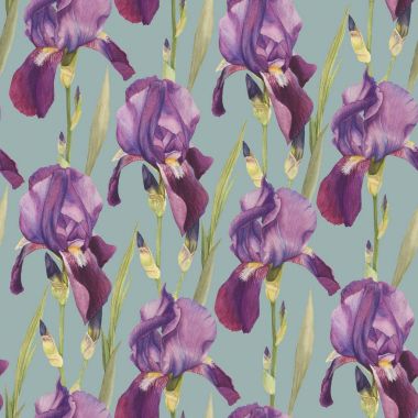 Suluboya süsen çiçek seamless modeli el ile çizilmiş