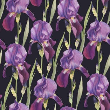 Suluboya süsen çiçek seamless modeli el ile çizilmiş