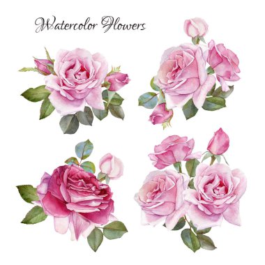 Gül buketi. Elle çizilmiş suluboya gül çiçek kümesi