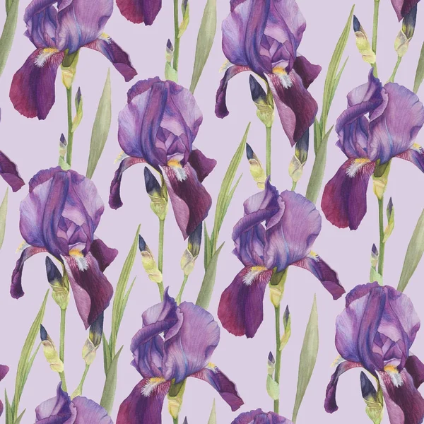 Motif floral sans couture avec iris aquarelle dessinés à la main — Photo