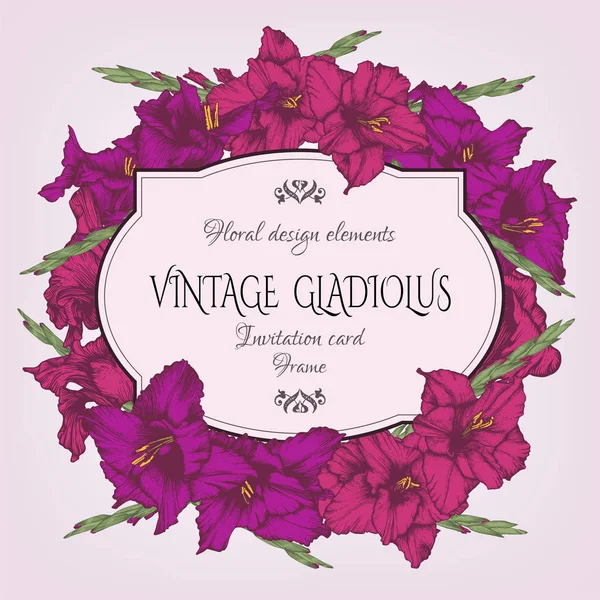 Scheda Floreale Vintage Con Una Cornice Fiori Gladiolus Disegnati Mano — Vettoriale Stock