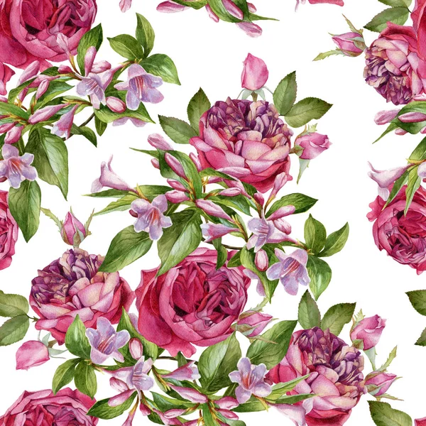 Sömlös blommönster med akvarell rosor och rosa weigela — Stockfoto