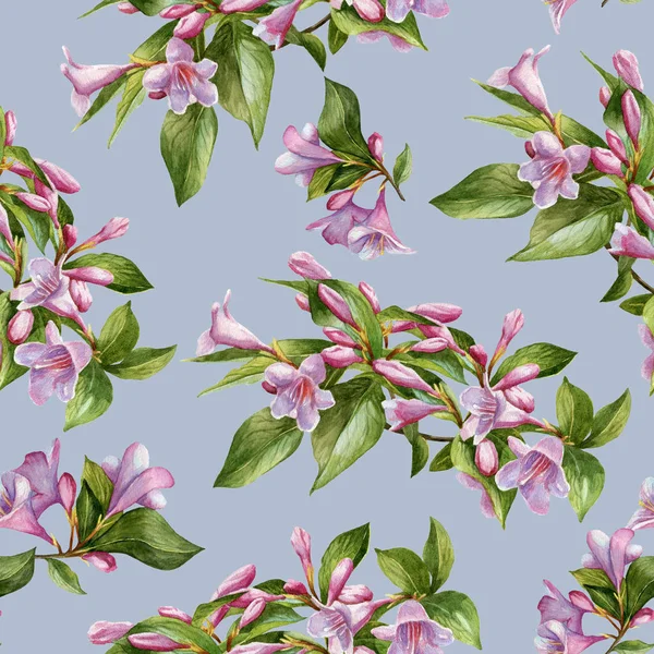 Floral seamless pattern with watercolor pink weigela — Stock Photo, Image