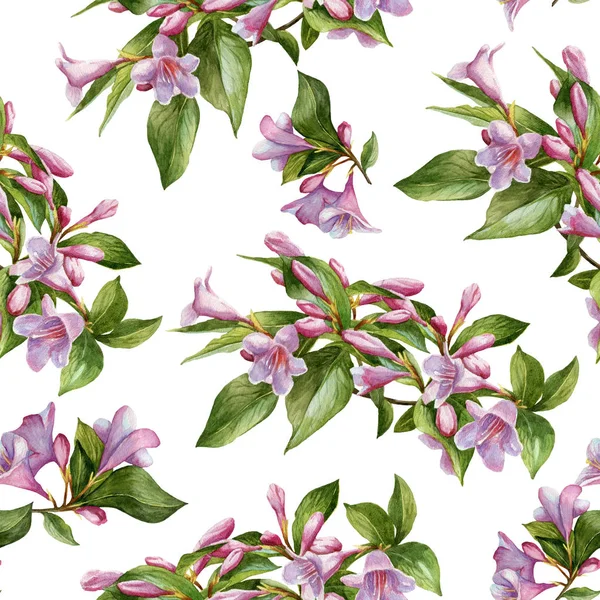 Naadloze bloemmotief met aquarel roze weigela — Stockfoto