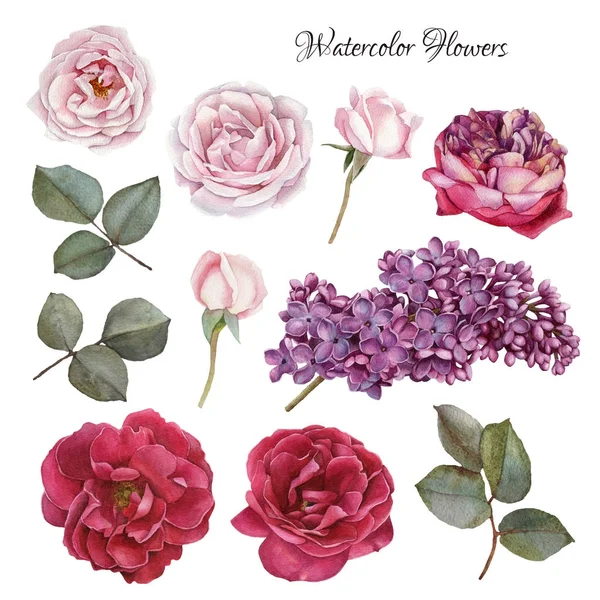 Набор цветов ручной работы акварельные розы и сирень — стоковое фото