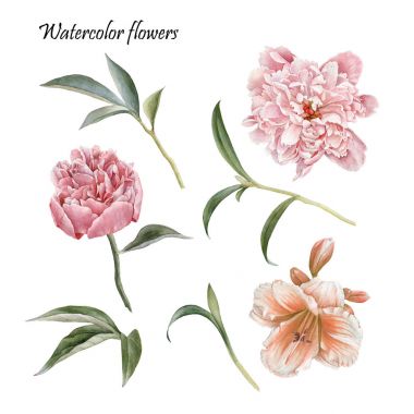 Suluboya peonies, lily ve yaprakları çiçek kümesi