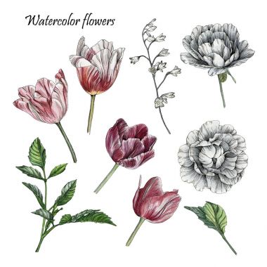 Sulu Boya lale, gül ve yaprakları çiçek kümesi