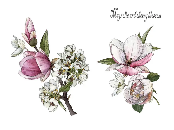 Kytice akvarelových květin. Sada akvarelových magnólií a třešňových květů. Textilní tisky — Stock fotografie
