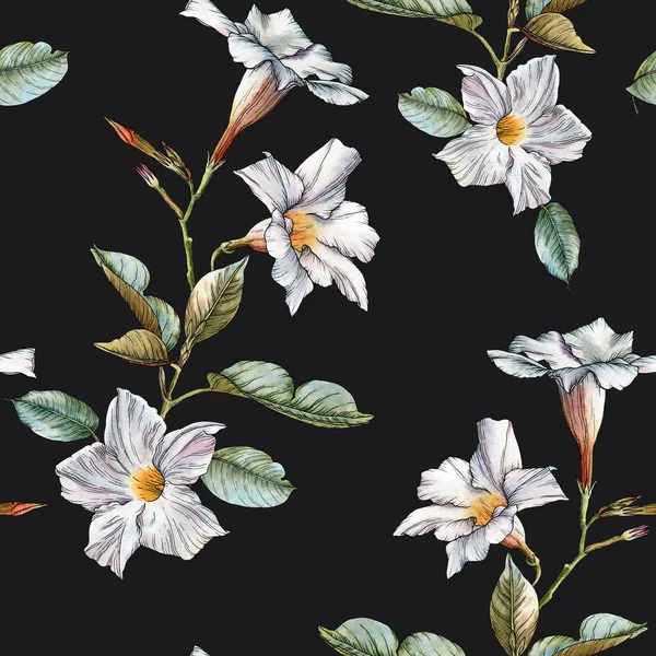 수채화흰 꽃이 피는 꽃없는 꽃무늬 — 스톡 사진