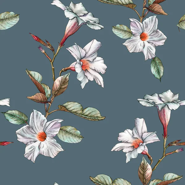 Kwiatowy bezszwowy wzór z akwarelowymi białymi kwiatami — Zdjęcie stockowe