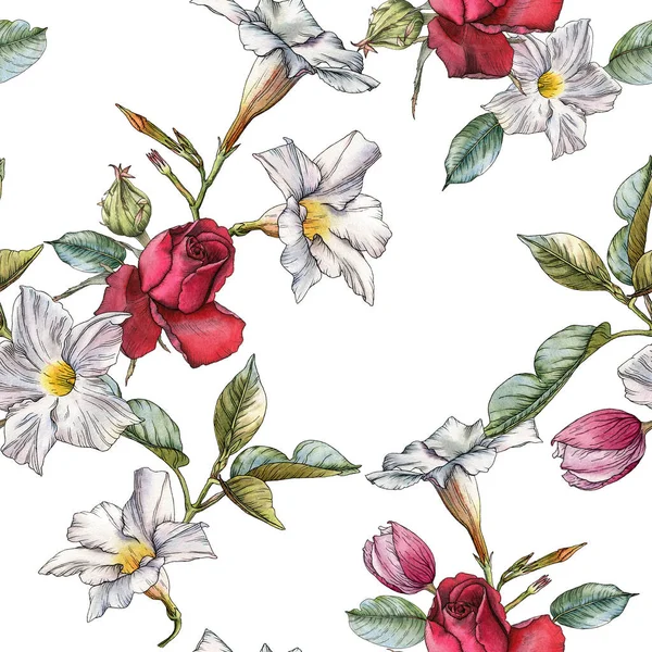 Floral seamless pattern with watercolor roses and white flowers — Stock Photo, Image