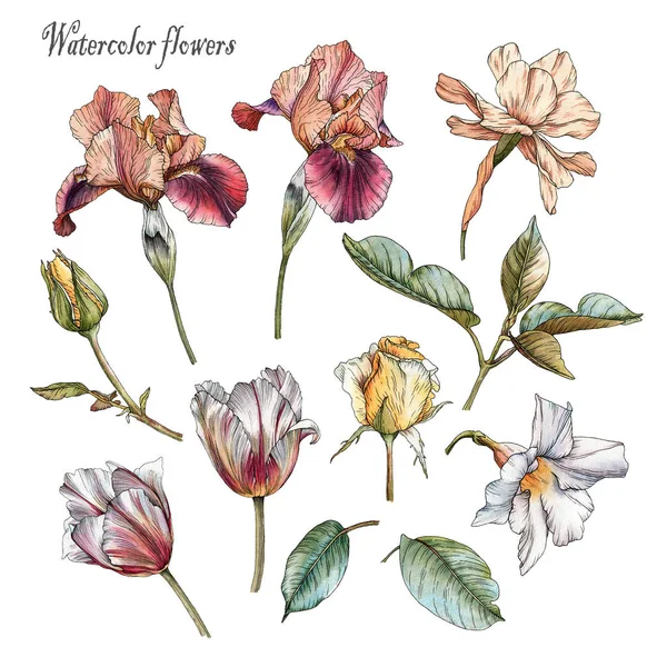 Σύνολο λουλουδιών από ιριδίζουσες νερομπογιές, τουλίπες, λευκό λουλούδι, κίτρινα τριαντάφυλλα και φύλλα σε στυλ σκίτσο — Φωτογραφία Αρχείου