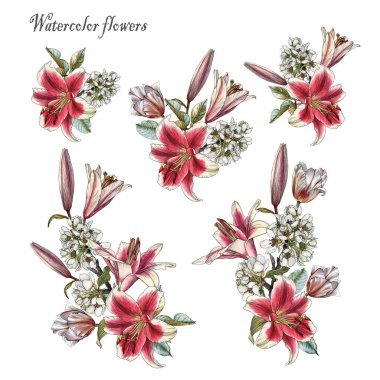 Bir buket suluboya çiçek. Bir dizi suluboya zambak ve lale. Tekstil izleri