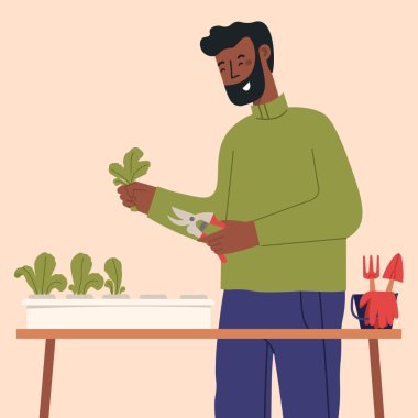 Evde kolay hidrofonik bahçe.