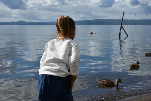 Petite Fille Jouant Bord Lac Avec Les Canards Concept Enfance — Photo