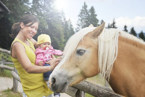 Mãe Com Filha Vai Encontrar Com Cavalo Quinta Educativa Feliz — Fotografia de Stock