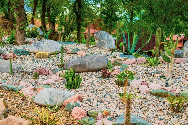 Flores de primavera en el jardín asiático — Foto de stock © smaglov