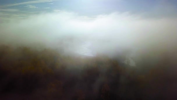 Vastag ködön át repül a mocsárba. — Stock videók